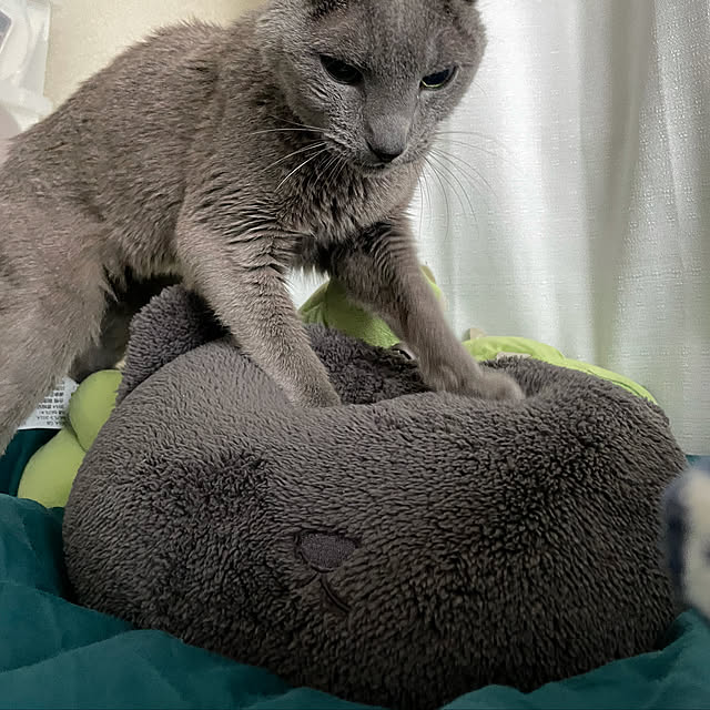 Ruukoさんの実例写真