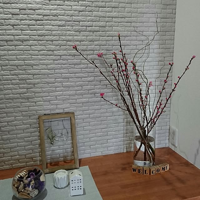 junaさんの実例写真