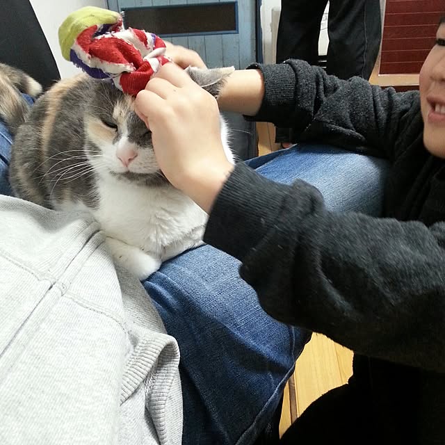 Seikoさんの実例写真