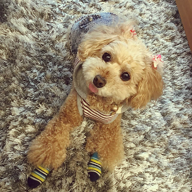 coronさんの実例写真