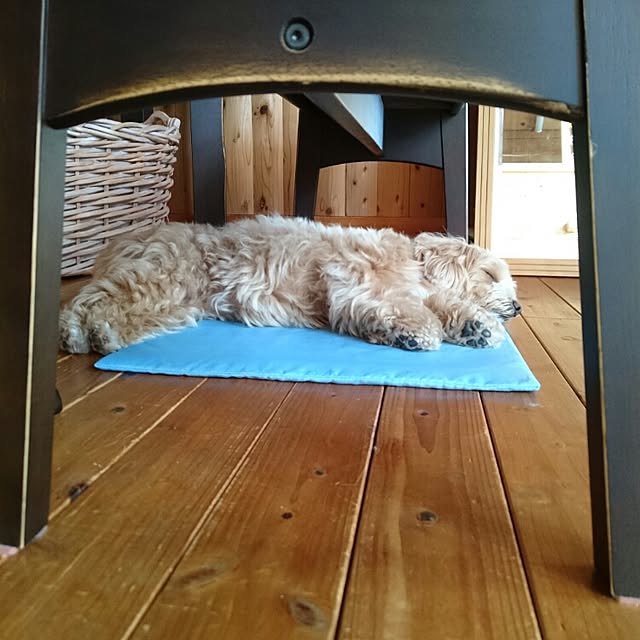 makaronさんの実例写真