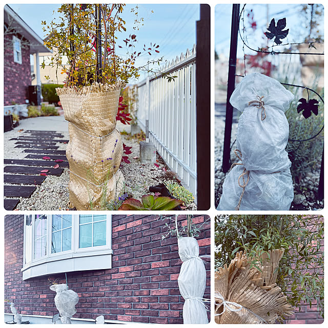 usagiさんの部屋