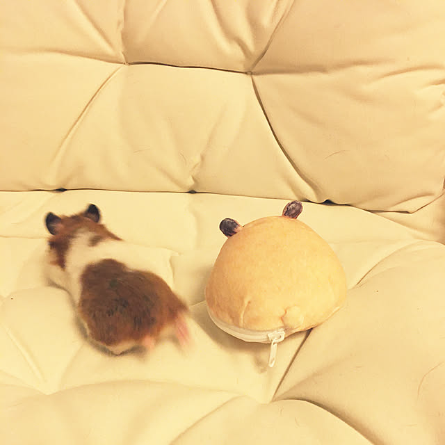 ohanaさんの実例写真