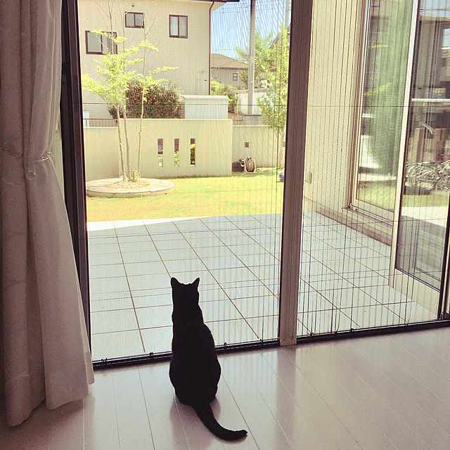 temariさんの実例写真