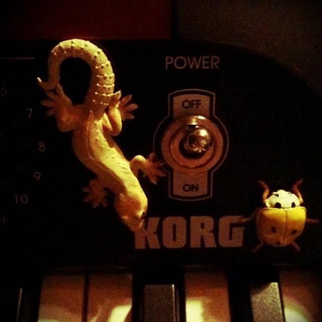 ginganonecoさんの実例写真