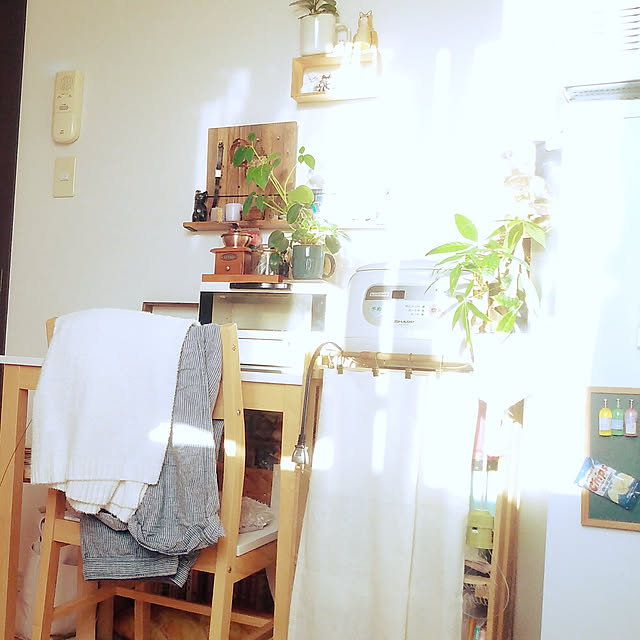 sleepywhaleさんの実例写真