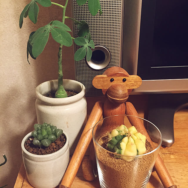 uzuさんの実例写真