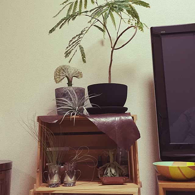 Shoさんの実例写真