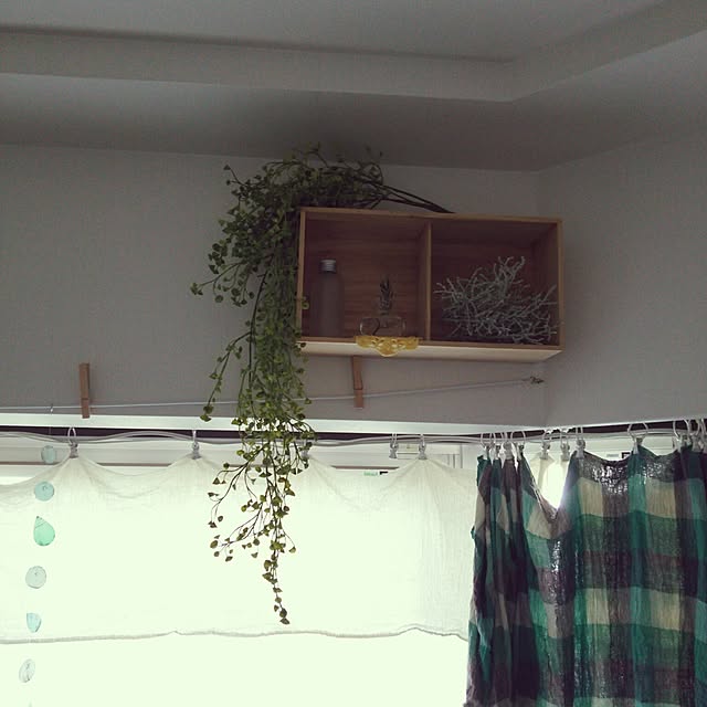 porinさんの実例写真