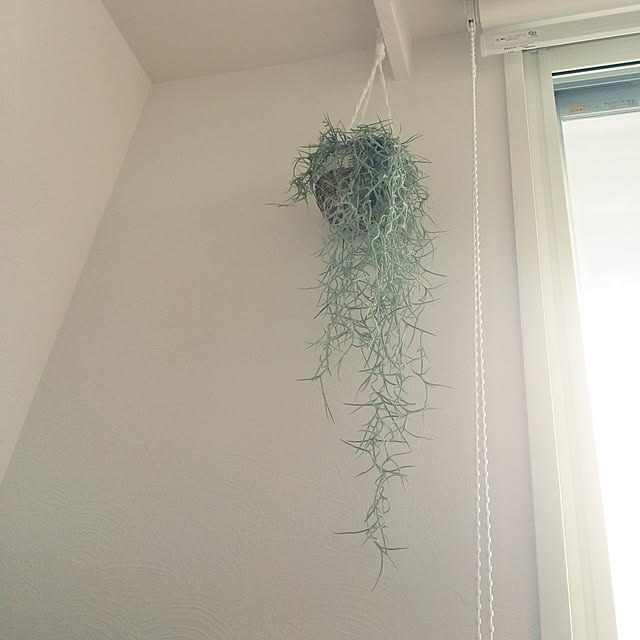nさんの実例写真