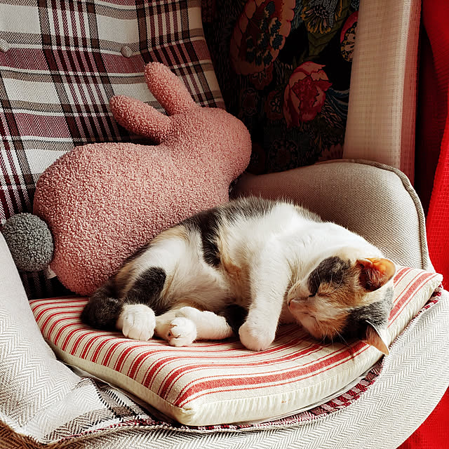 kumutanさんの実例写真