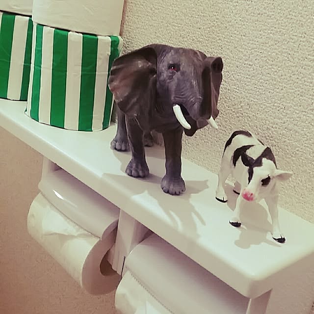 shiiitanさんの実例写真
