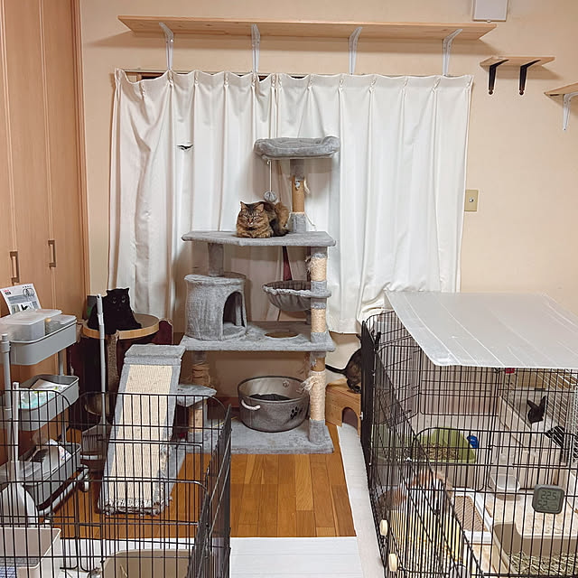 prelumoさんの部屋