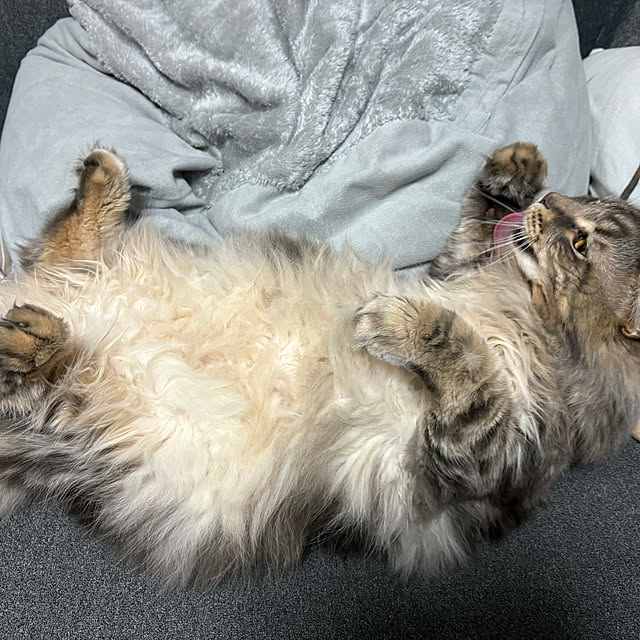 mayumiさんの部屋