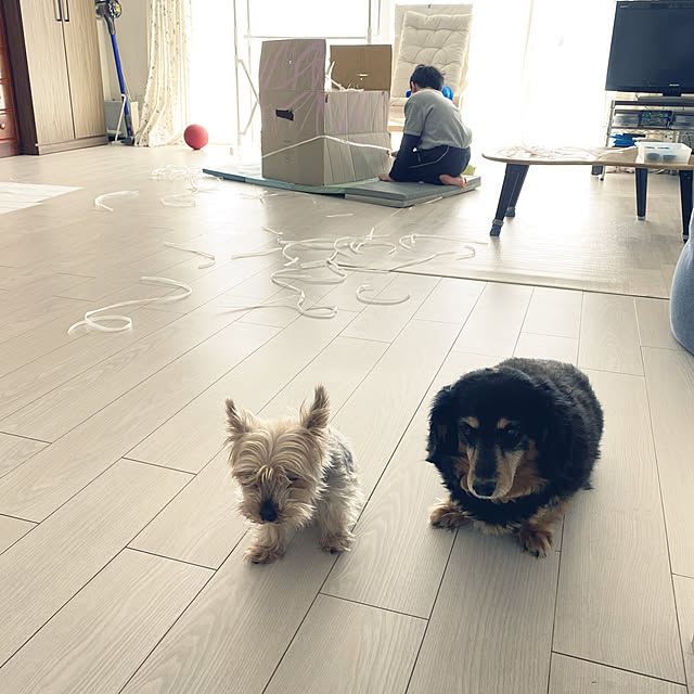ohanaさんの実例写真