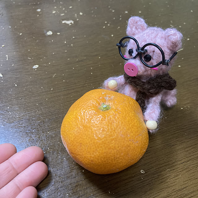manduonmaさんの実例写真