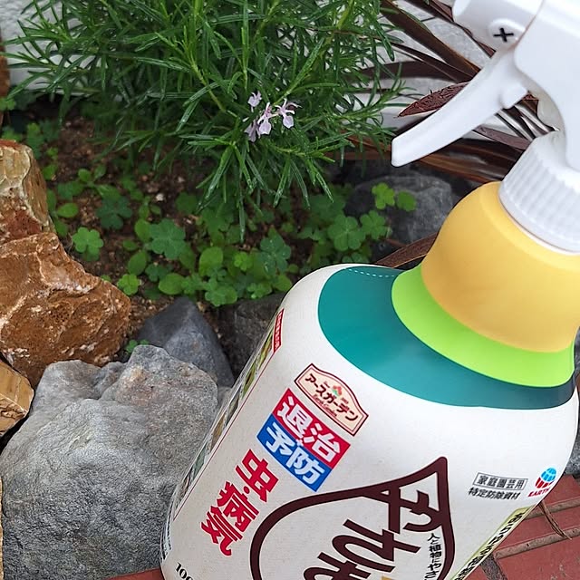 hanapanさんの部屋