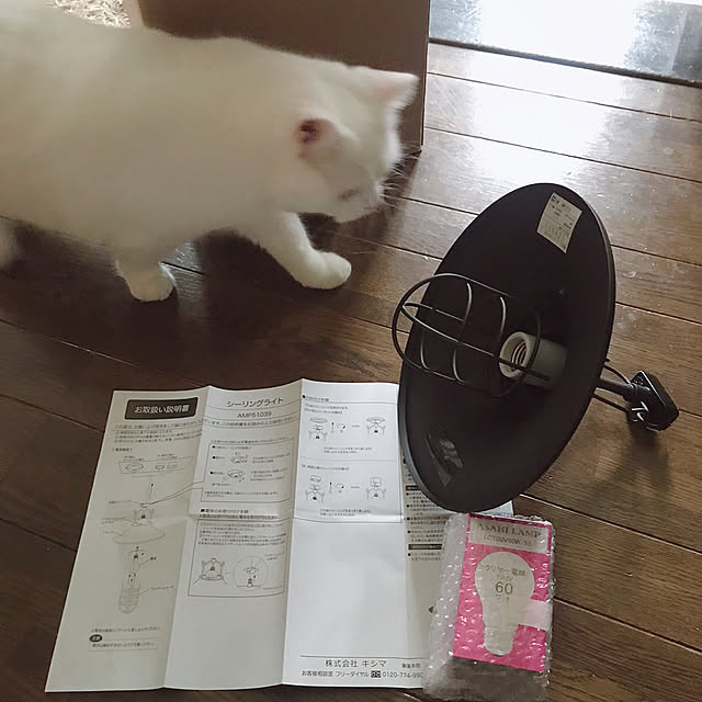 kotoriさんの実例写真