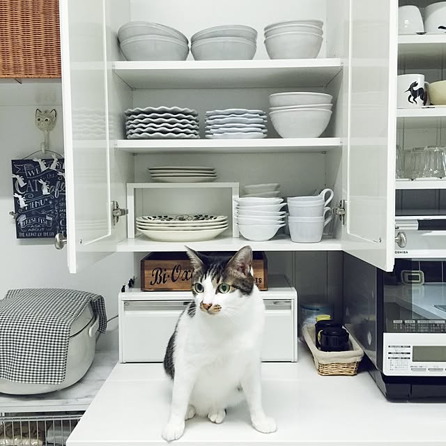 yuchiさんの実例写真