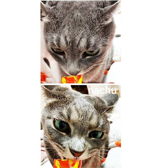 nachuさんの実例写真