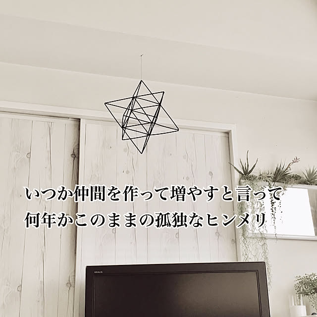 funiさんの実例写真