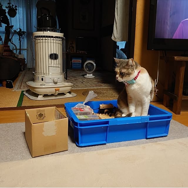 fukuさんの部屋