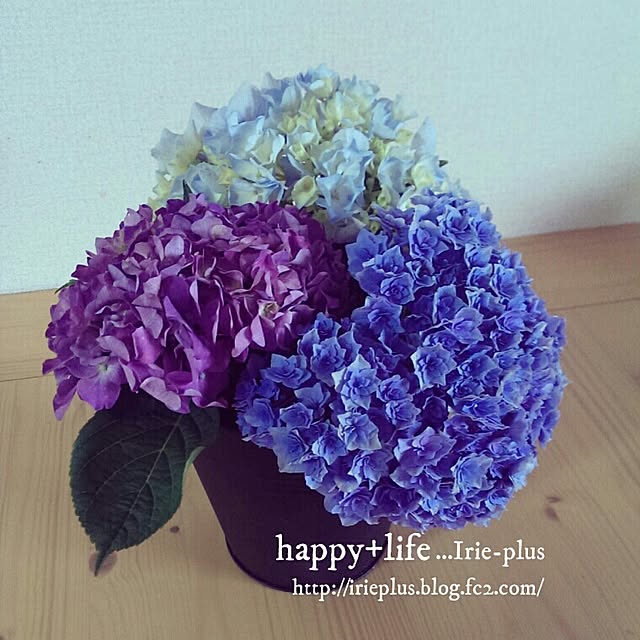 Irie-plusさんの実例写真