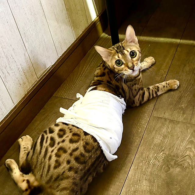 tututu0204さんの部屋