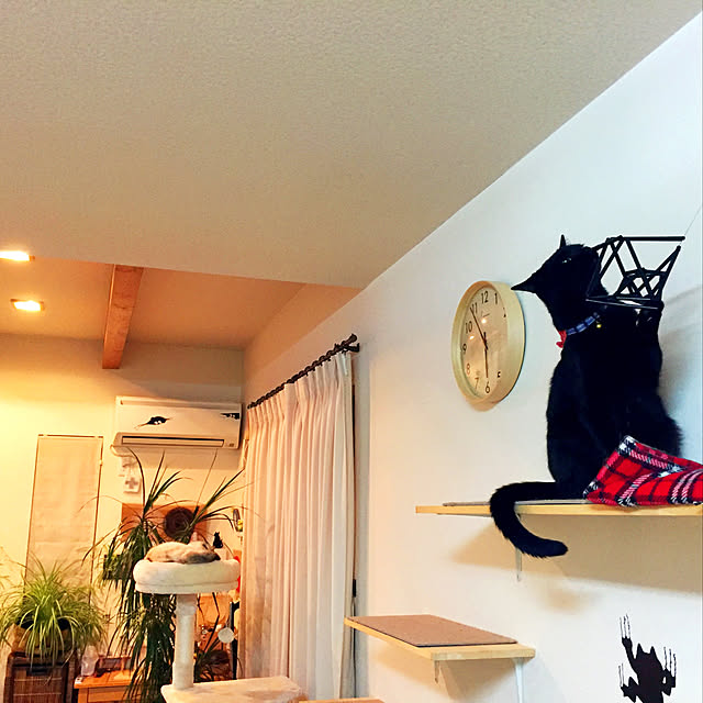 nanaさんの実例写真