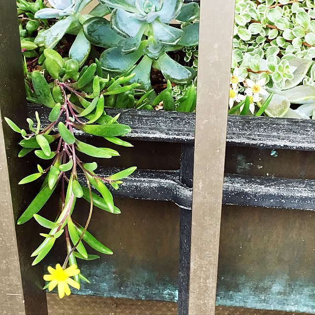 nyaoさんの実例写真