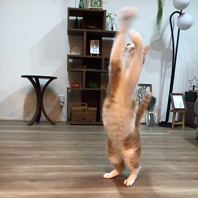 houenさんの部屋