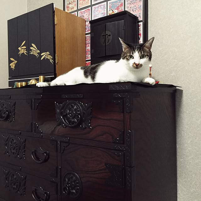 yuchiさんの実例写真