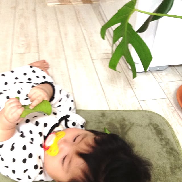 tomomiさんの実例写真
