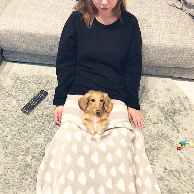 Eriさんの実例写真