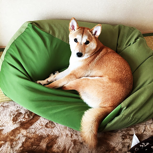 emtokさんの実例写真
