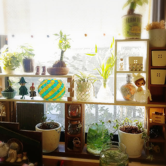 haruさんの実例写真