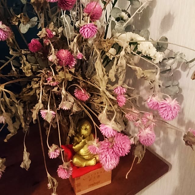 Shuheiさんの実例写真