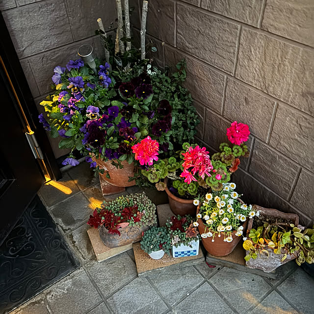 ritsukoさんの部屋