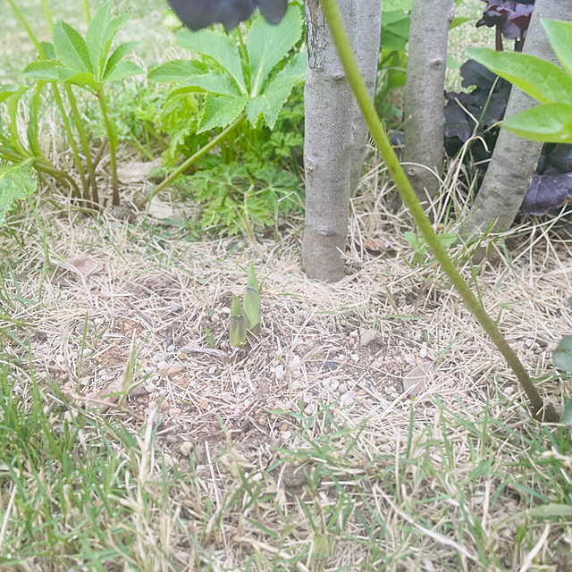 kurinokiさんの部屋