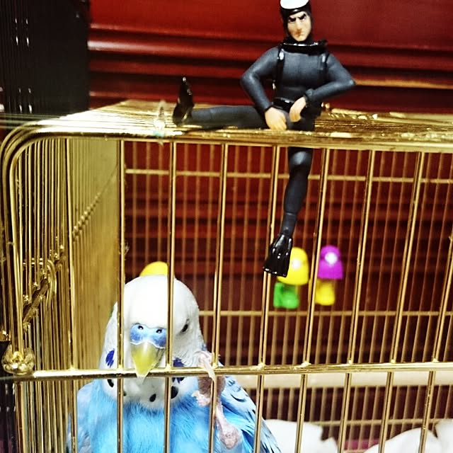 torimi4さんの実例写真
