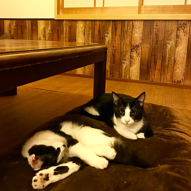 butachanさんの実例写真