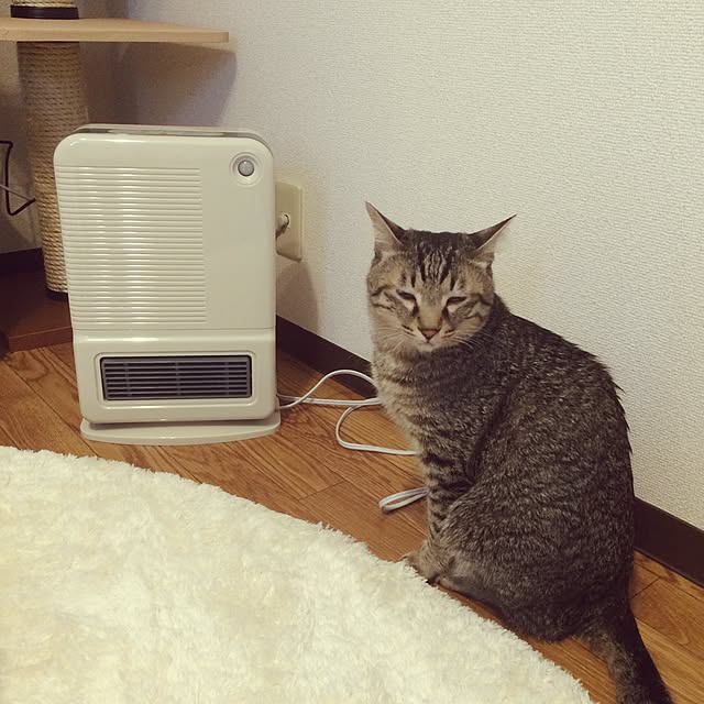 Esunoさんの実例写真