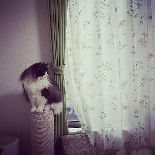 hiroshiさんの実例写真