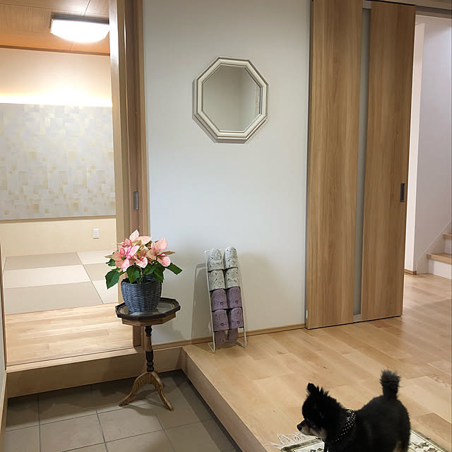 実例写真