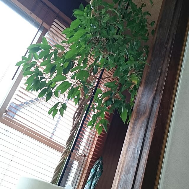mizuさんの実例写真
