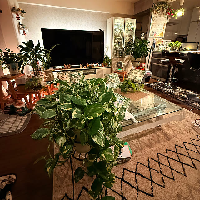 Aqettyさんの部屋