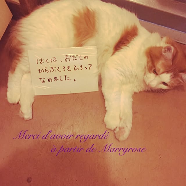 maria.rさんの実例写真
