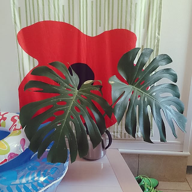 urchinさんの実例写真