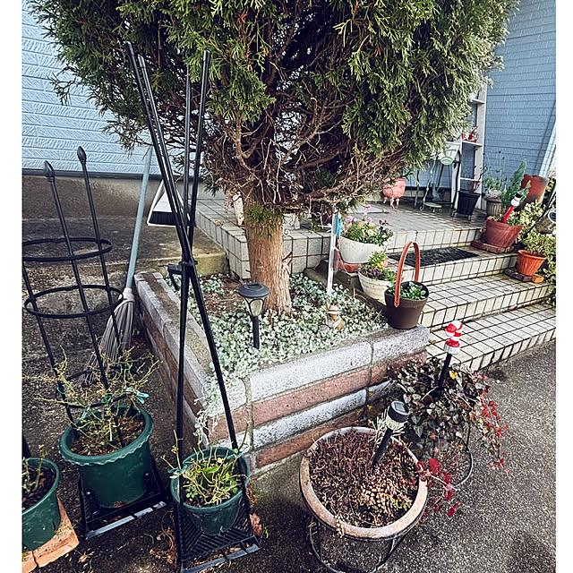 CoCo0617さんの部屋