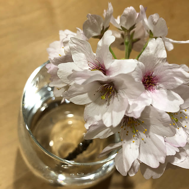 fuwalilyさんの部屋